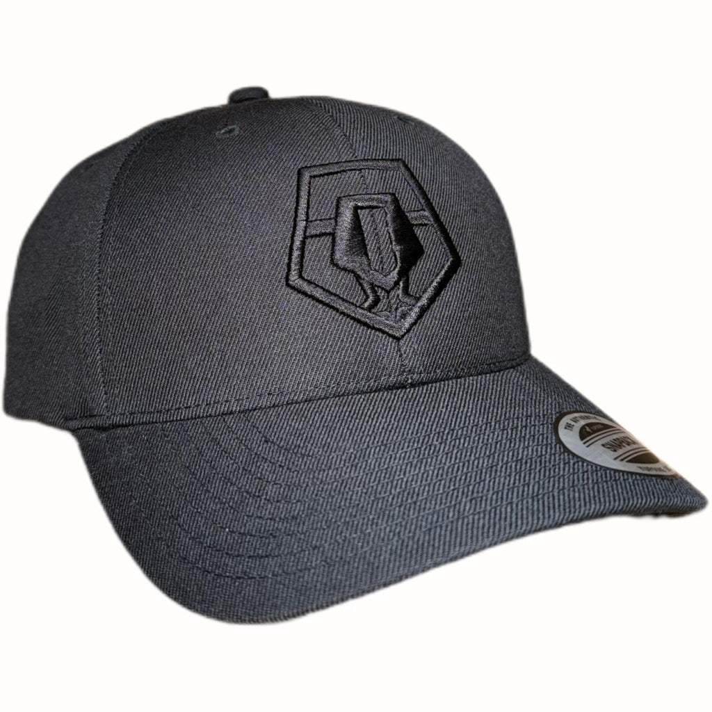 TIS Snap Back Cap (Black Logo)