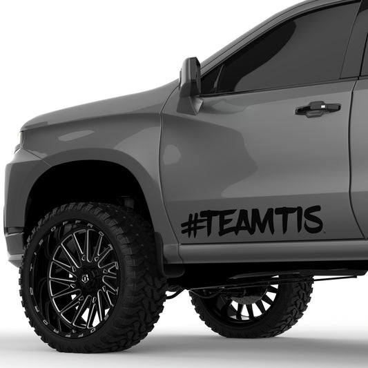 TEAMTIS Solid 32" Decal (Set of 2)