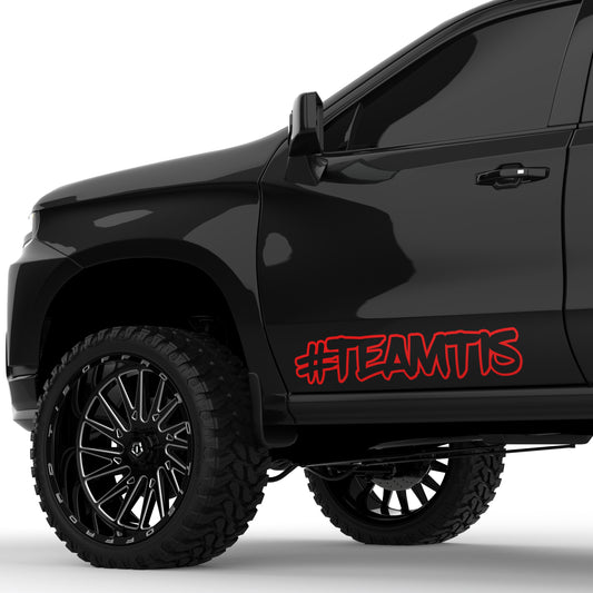 TEAMTIS Outline 32" Decal (Set of 2)